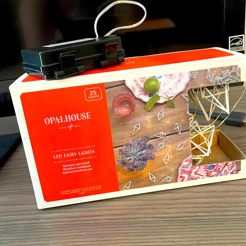 Opalhouse LED String Lights with Warm White Glow